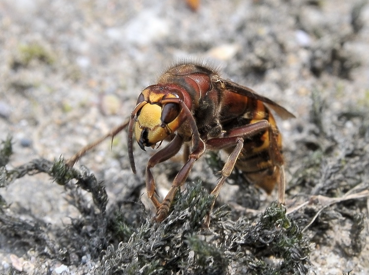 Valle del Farma e Stagno della Troscia: luoghi meravigliosi!